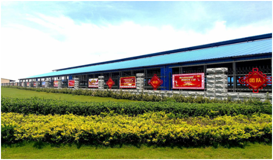 “ 看听谈查 ”板 找短板  党建巡查促提升——中欧（中国）集团党委开展基层党建工作巡查