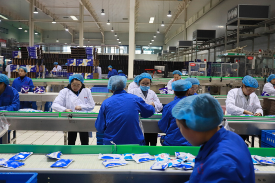 党员带头赴一线  助力春节保生产—中欧（中国）别样“生产突击队”助力车间生产