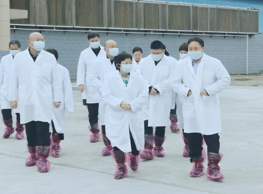 河南省郑州市人民政府副市长李凤芝一行莅临中欧（中国）河南瑞亚参观调研