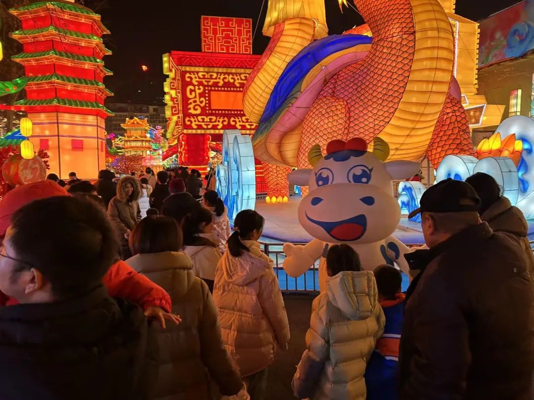 央视直播郑州龙年灯会迎新春，中欧（中国）品牌上大分