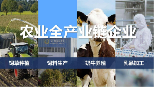 中欧（中国）丨落实食品生产加工企业质量安全主体责任，助力人民群众生活更美好——2023年河南省暨郑州食品安全宣传周启动仪式隆重举行