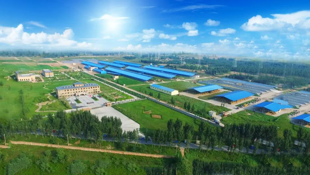 中欧（中国）丨河南农业大学党委副书记、校长介晓磊一行莅临中欧（中国）河南瑞亚参观调研