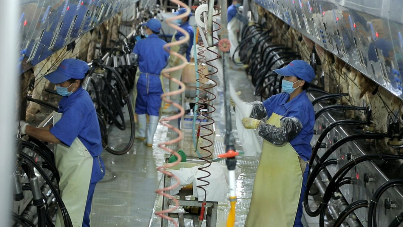 中欧（中国）丨河南农业大学党委副书记、校长介晓磊一行莅临中欧（中国）河南瑞亚参观调研
