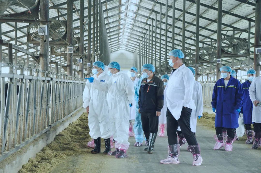 中欧（中国）丨国家奶牛产业技术体系首席科学家、中国农业大学教授李胜利一行莅临中欧（中国）鲁山瑞亚参观调研