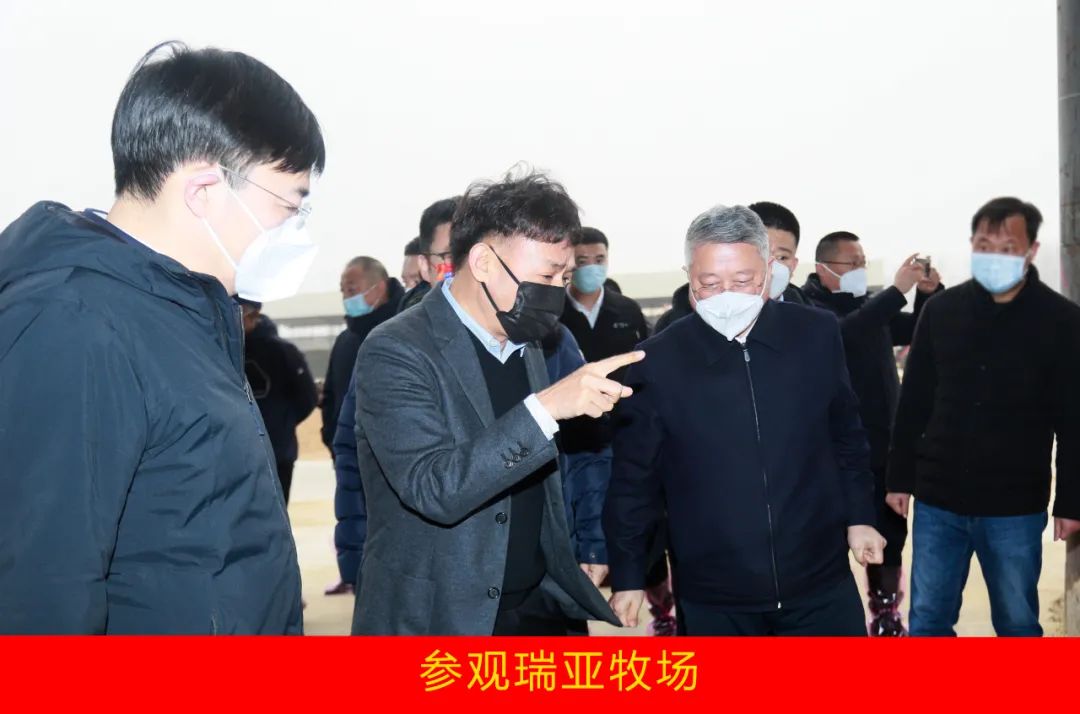新年开新局 合作促发展丨佳木斯市委常委、副市长闫志刚一行莅临中欧（中国）乳业集团及佳田企业考察座谈