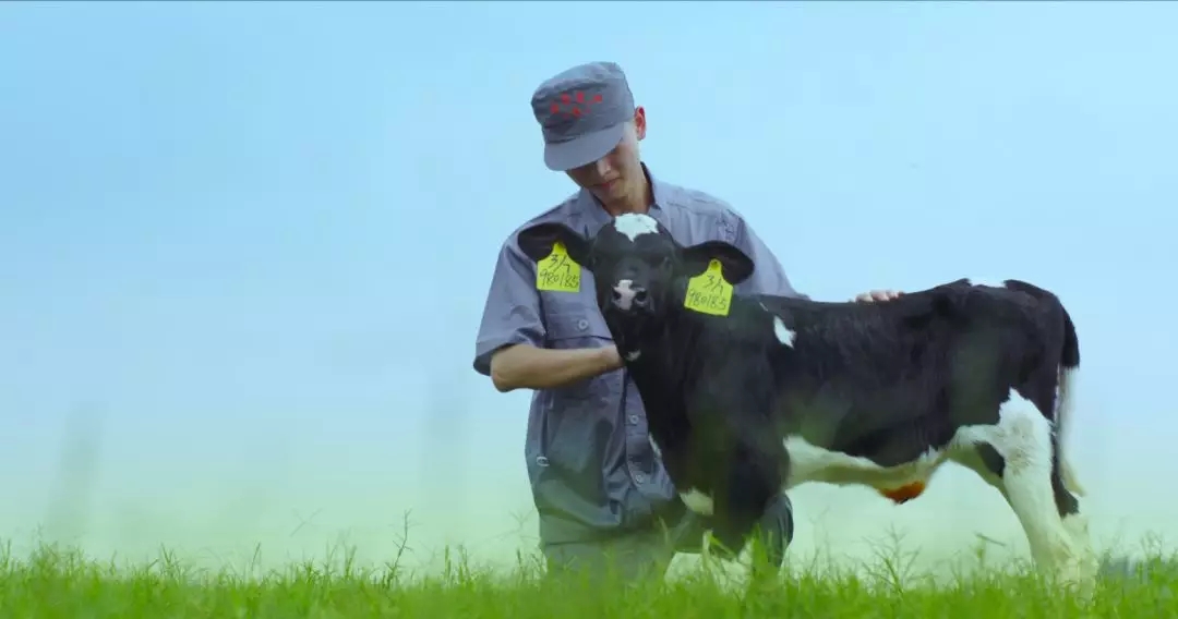 河南省人大常委会党组书记、副主任孔昌生莅临中欧（中国）鲁山瑞亚牧场参观调研