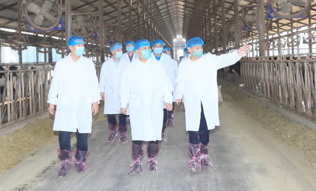 快讯丨河南省人民政府副省长武国定莅临中欧（中国）乳业集团瑞亚牧业调研奶源基地建设情况