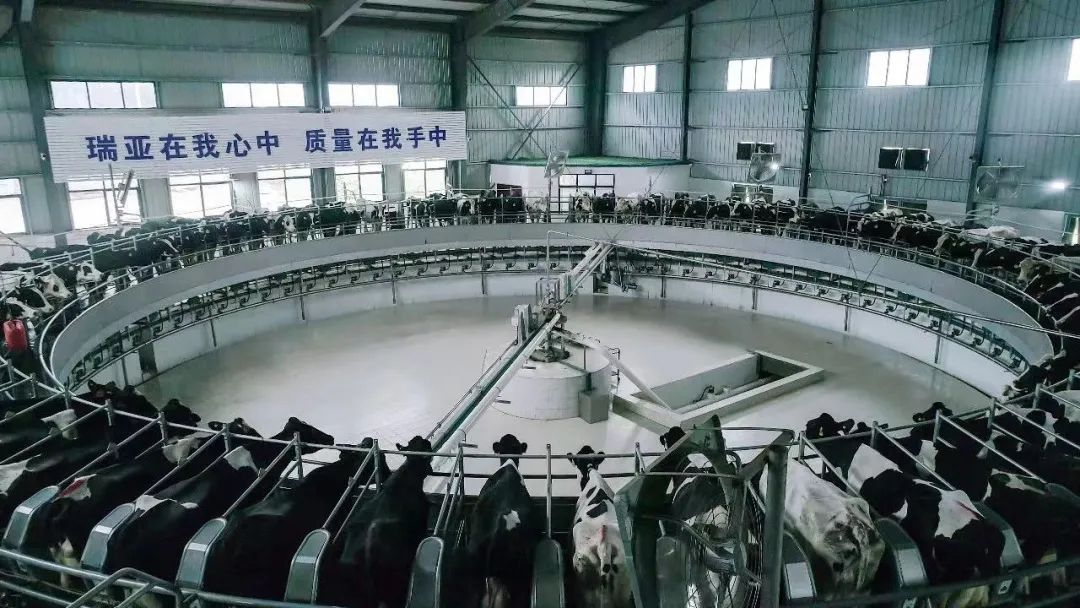 喜讯 | 中欧（中国）一座自有牧场入选河南省“DHI测定优秀牧场”