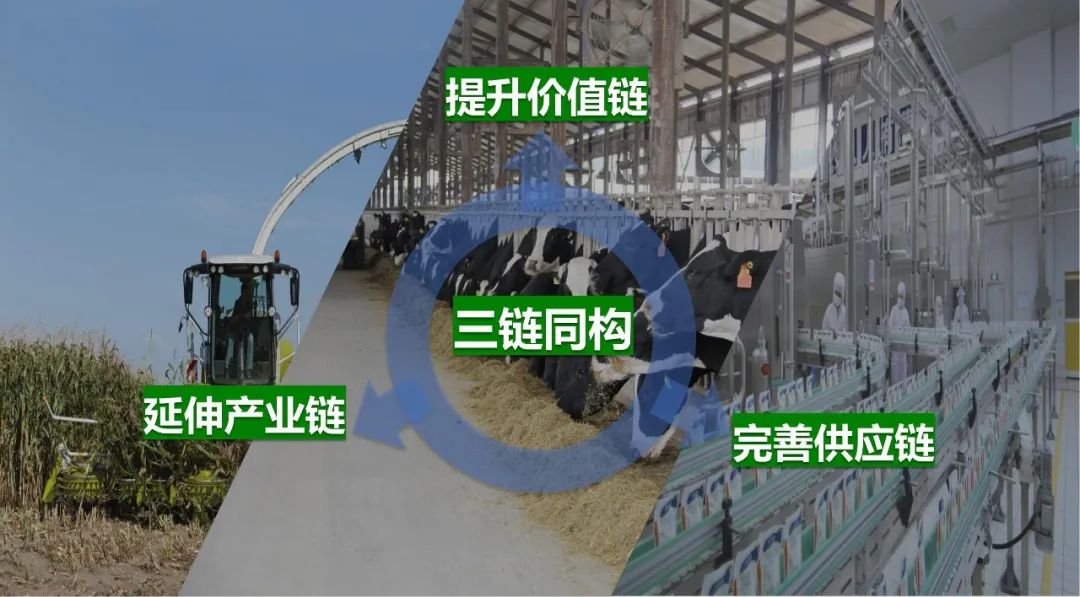 佳木斯市招商考察团莅临中欧（中国）考察座谈