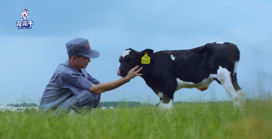 健康河南·振兴奶业｜叶县与中欧（中国）乳业集团举行合作洽谈会
