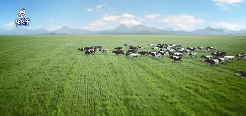 快讯 | 2020河南民营企业100强发布 中欧（中国）荣获“河南民营企业现代农业100强”、“河南民营企业社会责任100强”双荣誉