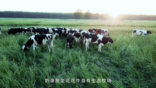 快讯 | 长江商学院智能制造学会走进中欧（中国）乳业集团