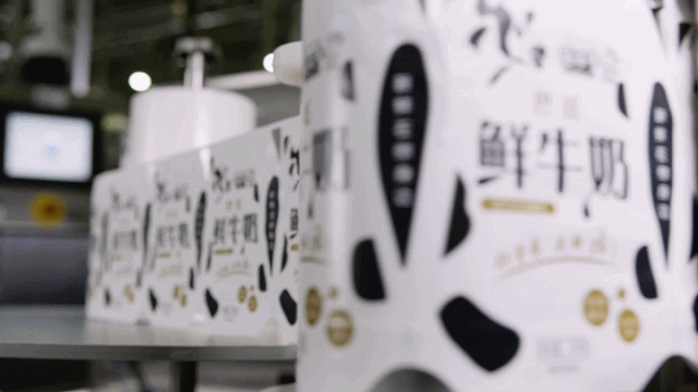 快讯 | 长江商学院智能制造学会走进中欧（中国）乳业集团