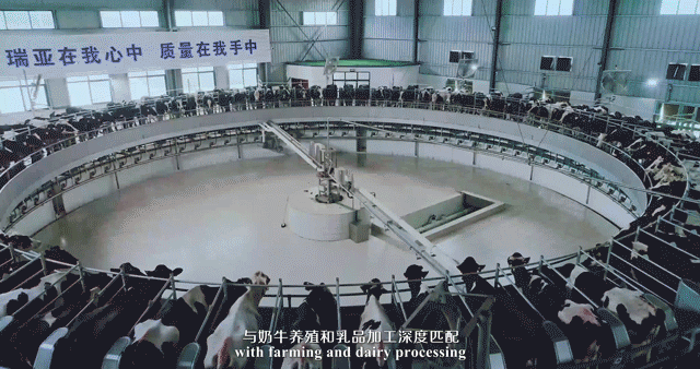 快讯 | 湖北省农业厅副厅长王海涛等领导一行莅临河南中欧（中国）乳业集团参观调研