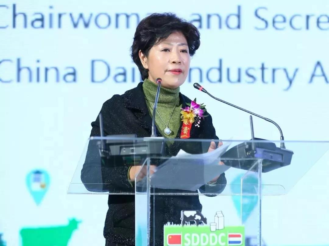 SDDDC走进河南，看看中欧（中国）的国际范儿！