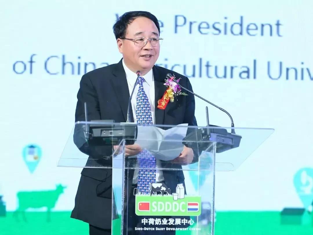 SDDDC走进河南，看看中欧（中国）的国际范儿！