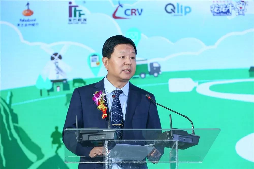 SDDDC走进河南，看看中欧（中国）的国际范儿！