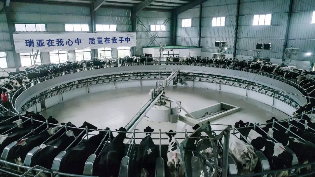 省委书记王国生到河南中欧（中国）乳业集团·新蔡瑞亚牧业有限公司调研