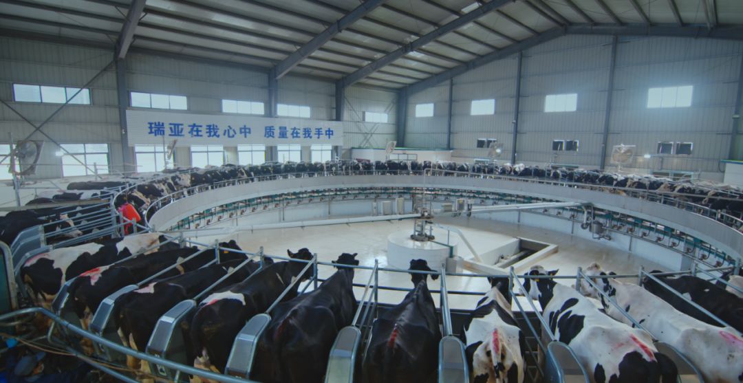 中欧（中国）集团旗下六家公司入选省农业产业化重点龙头企业名单