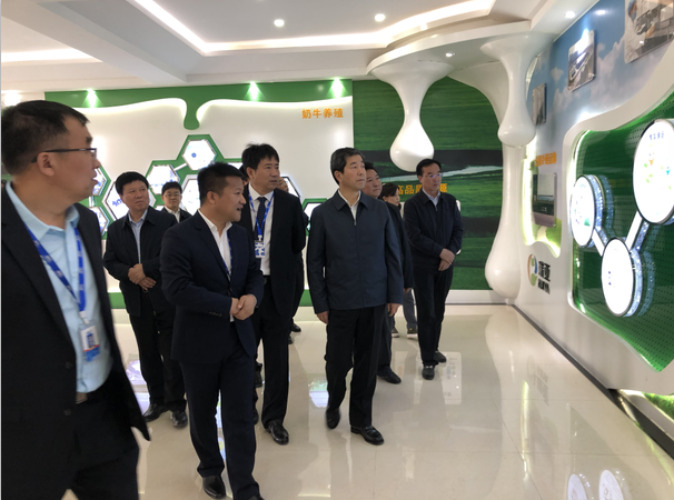 河南省委副书记、省长陈润儿一行莅临 中欧（中国）集团鲁山瑞亚牧业有限公司视察调研