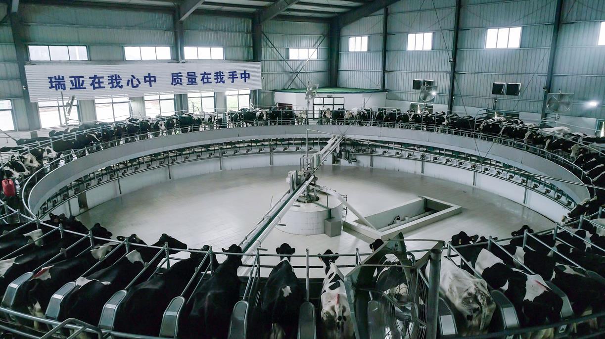 又双叒叕获奖啦！中欧（中国）荣获“乳品质量安全管理 优秀企业”