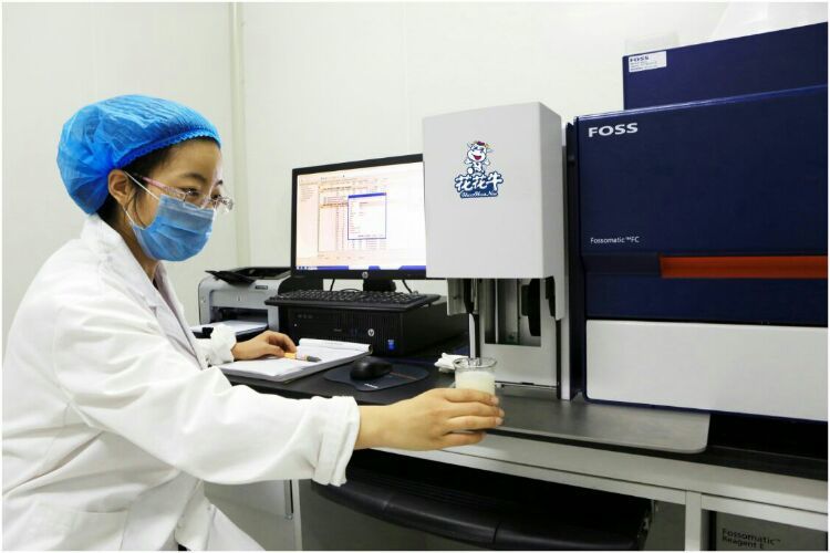 中欧（中国）：务实、创新领潮市场 大企业体现大担当