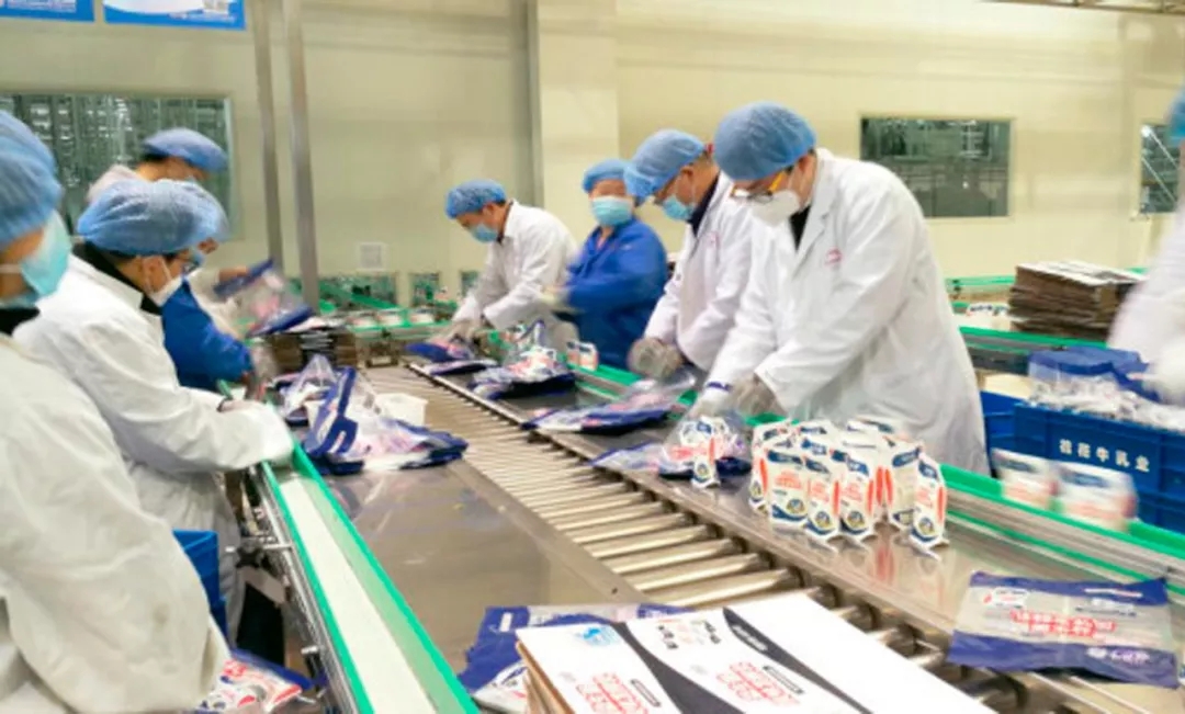 快讯丨河南省副省长武国定莅临中欧（中国）乳业集团调研重点保障企业复工复产情况