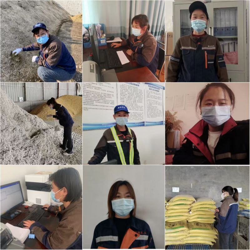 中欧（中国）丨点点微光汇星河——养殖事业部抗疫保生产侧记