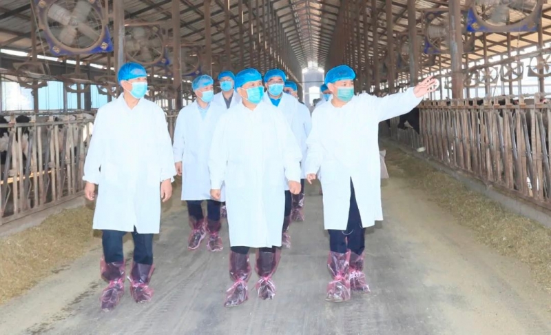 快讯丨河南省人民政府副省长武国定莅临中欧（中国）乳业集团瑞亚牧业调研奶源基地建设情况